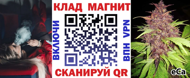Где продают наркотики Петровск-Забайкальский ГАШИШ  Конопля  Вейп ТГК  МЕФ  Псилоцибиновые грибы 