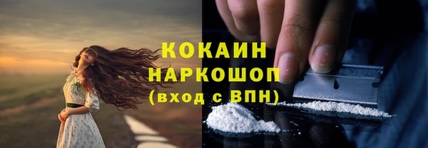 Альфа ПВП Осинники