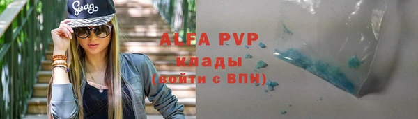 стафф Осташков