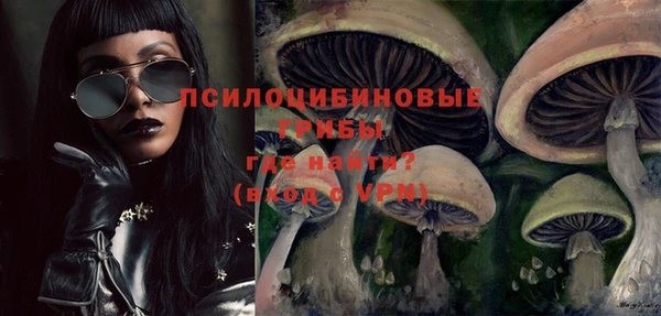 Альфа ПВП Осинники