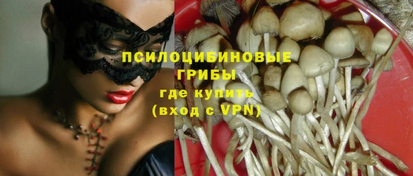 стафф Осташков