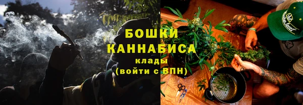 стафф Осташков