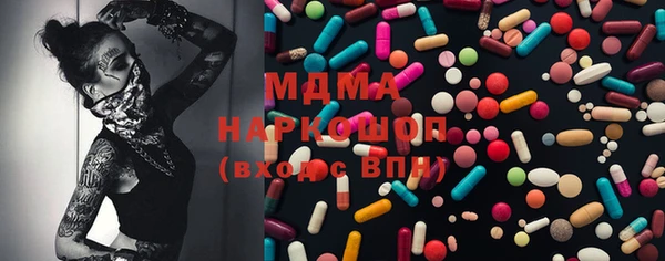 шишки Няндома