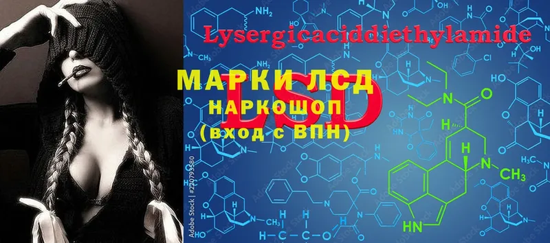 где найти наркотики  Петровск-Забайкальский  LSD-25 экстази ecstasy 